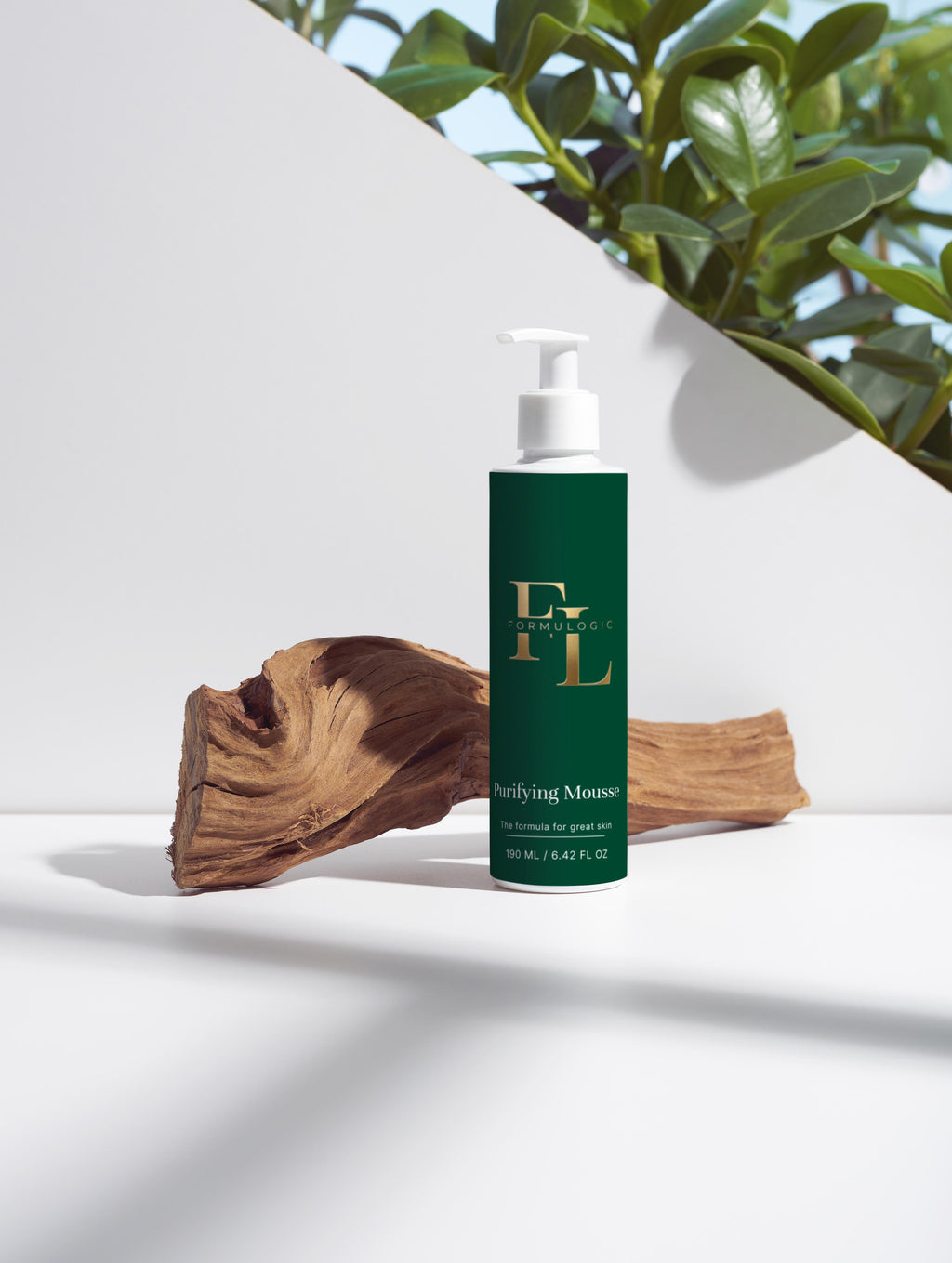 Purifying Mousse